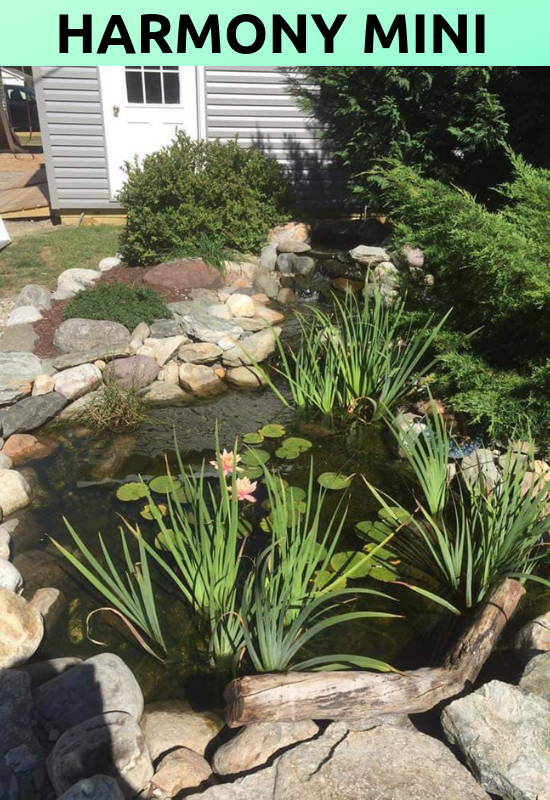 pond-contractor-jacksonville-nc