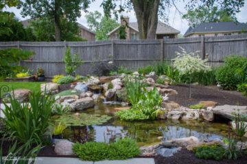 Harmony Series Ponds